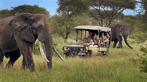 Tanzania SAFARI .